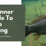 carp fishing guide